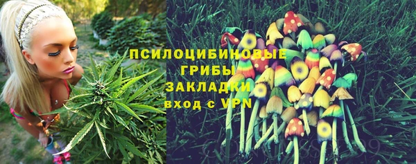 дмт Липки
