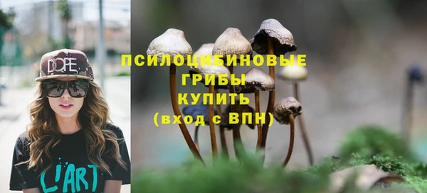 дмт Липки