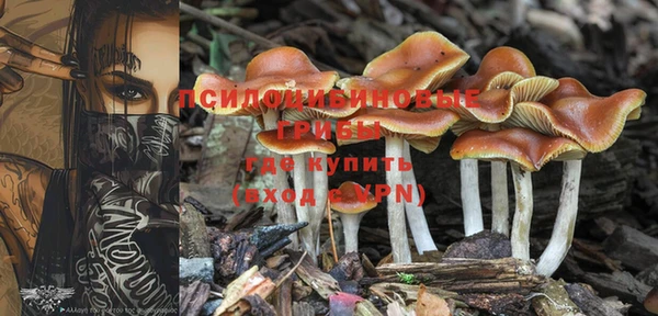 дмт Липки