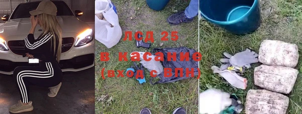 крисы Братск